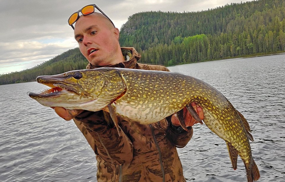 %Fiskerejser efter Laks, ørred og stør% Vildmarks camps i Lapland Fiskerejse rasmus med stor gedde